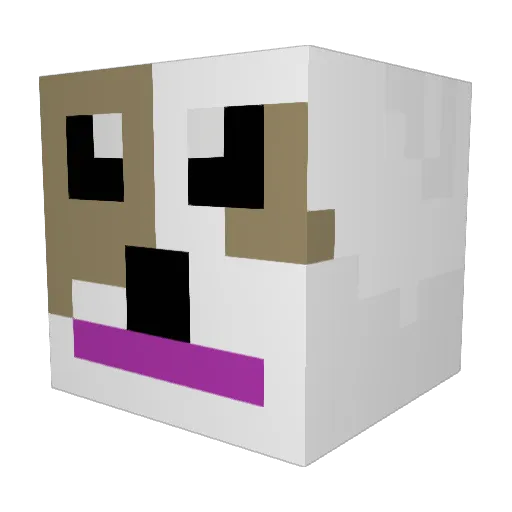 MrJohnOz Minecraft avatar head, 3D render