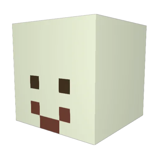 MrJonas2508 Minecraft avatar head, 3D render