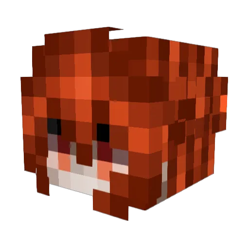 MrJoshua228 Minecraft avatar head, 3D render
