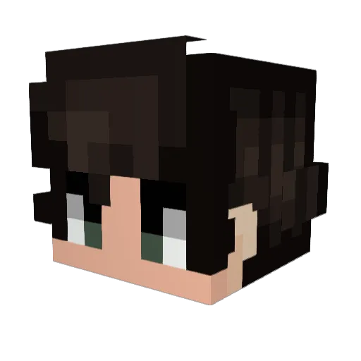 MrKaiRyan Minecraft avatar head, 3D render