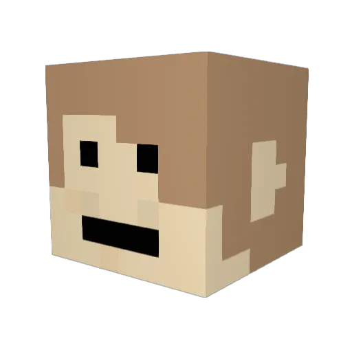 MrKane11 Minecraft avatar head, 3D render