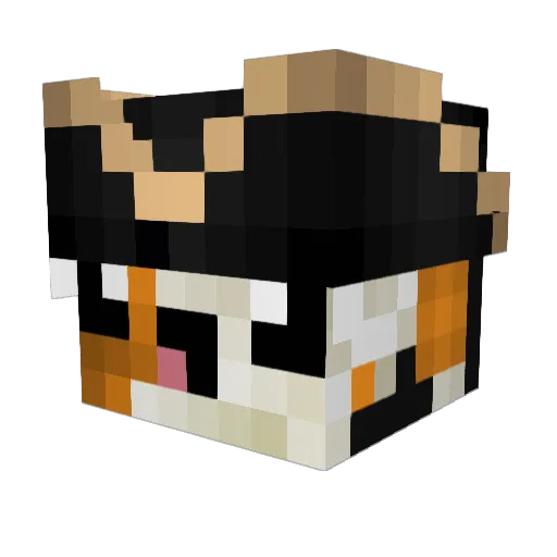 MrKarrpPI Minecraft avatar head, 3D render