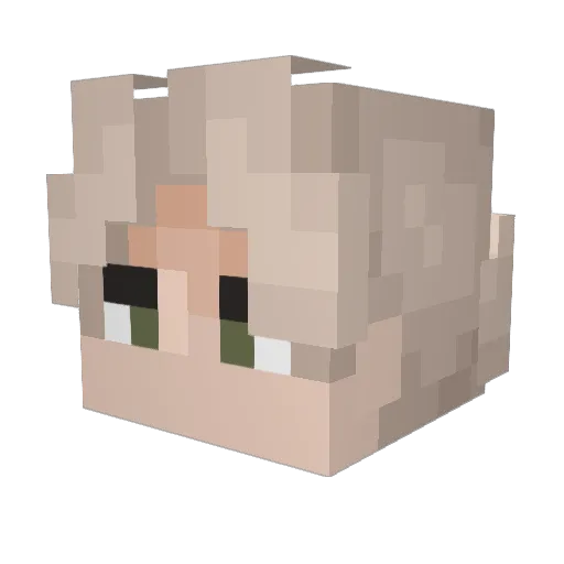 MrKidek_ Minecraft avatar head, 3D render