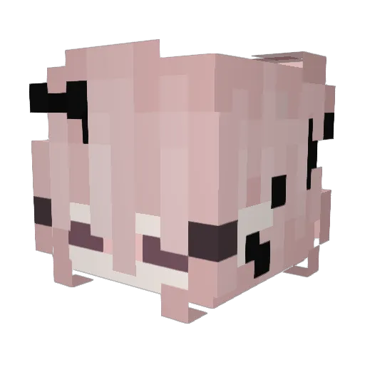MrKitty0308 Minecraft avatar head, 3D render