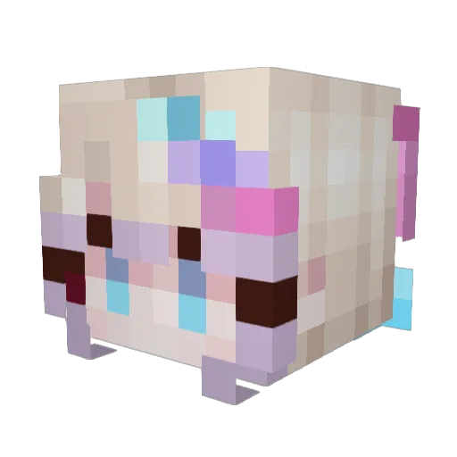 MrKoolmees1405 Minecraft avatar head, 3D render