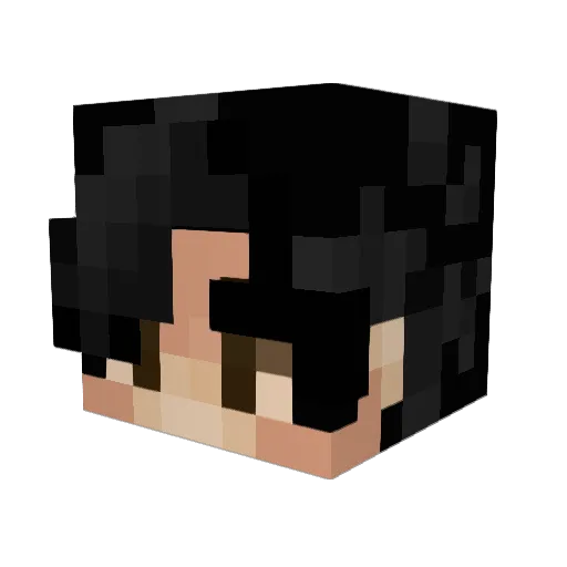 MrKrabSs458 Minecraft avatar head, 3D render