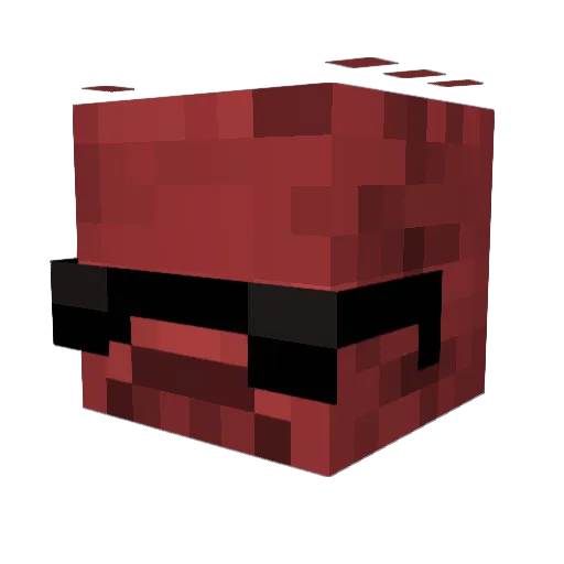 MrLandGamer2 Minecraft avatar head, 3D render