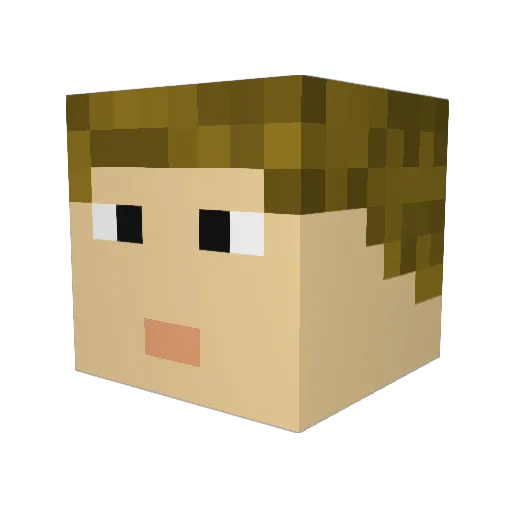 MrLarpainer Minecraft avatar head, 3D render