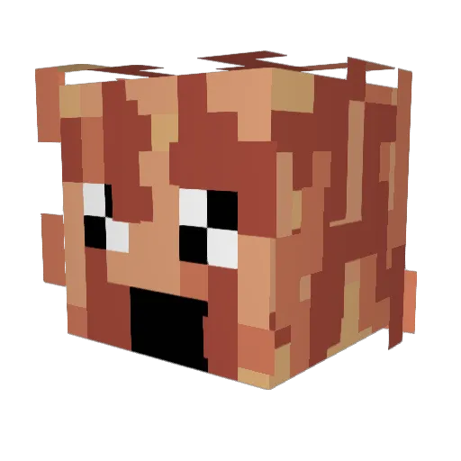 MrLethalBacon Minecraft avatar head, 3D render