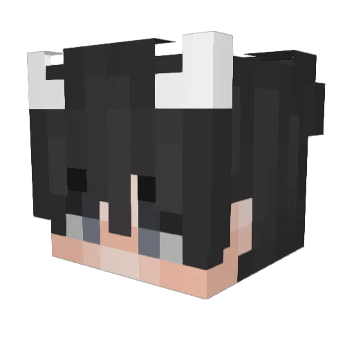 MrLisek Minecraft avatar head, 3D render