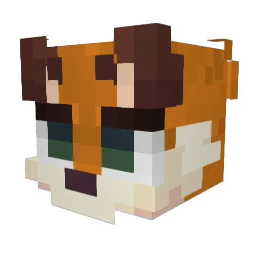 MrLiteFox Minecraft avatar head, 3D render