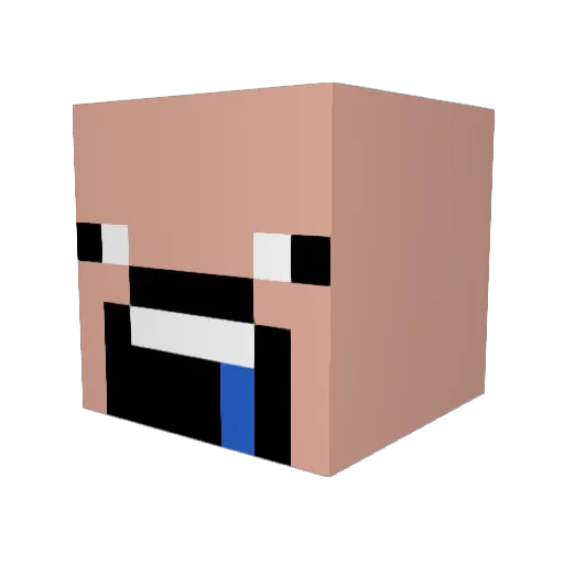MrLittleMC Minecraft avatar head, 3D render