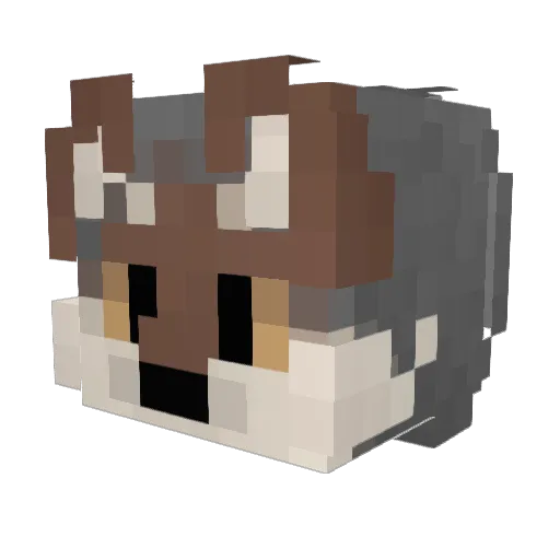 MrLixm Minecraft avatar head, 3D render