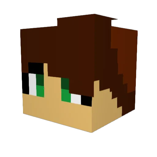 MrLost920 Minecraft avatar head, 3D render