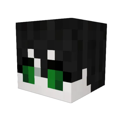 MrMANIFESTED Minecraft avatar head, 3D render