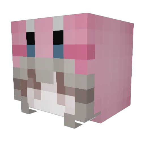 MrMaeda Minecraft avatar head, 3D render