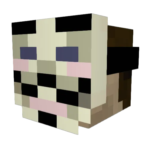 MrMainframe Minecraft avatar head, 3D render
