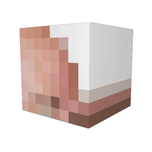 MrMapiix Minecraft avatar head, 3D render
