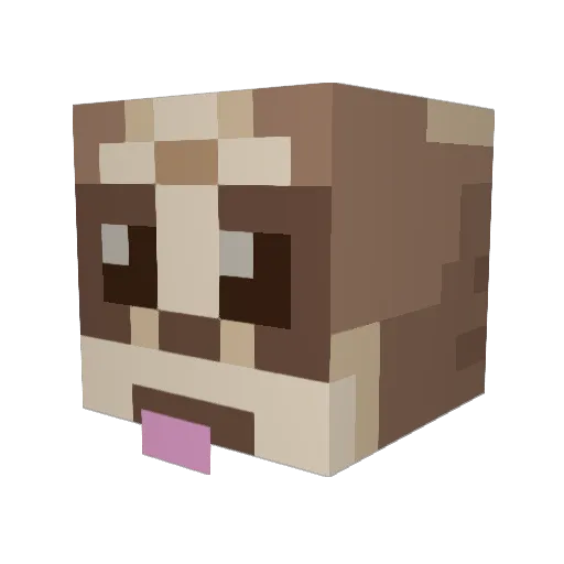 MrMeerkat12 Minecraft avatar head, 3D render