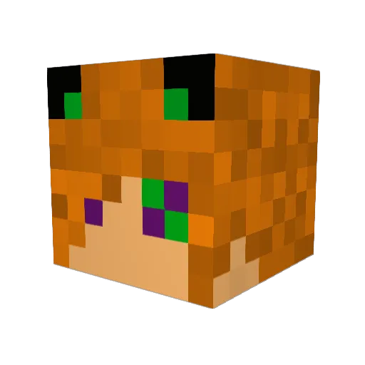 MrMeowTheSecond Minecraft avatar head, 3D render