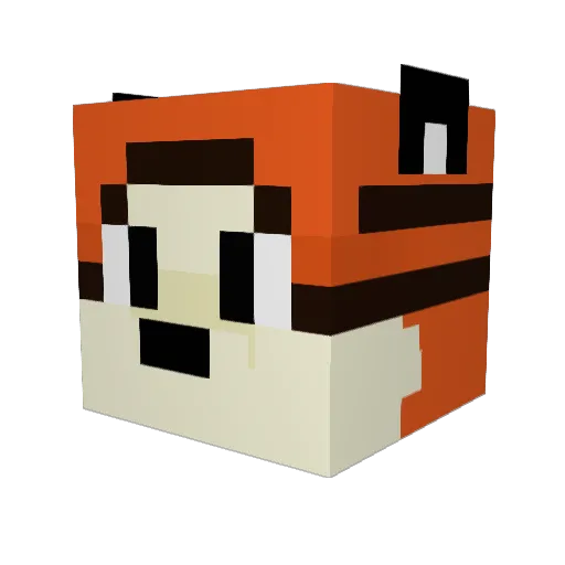 Minecraft-Avatar von MrMeteoJang: Kopf als 3D-Render