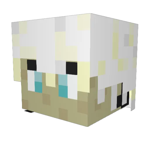 MrMissileFish Minecraft avatar head, 3D render