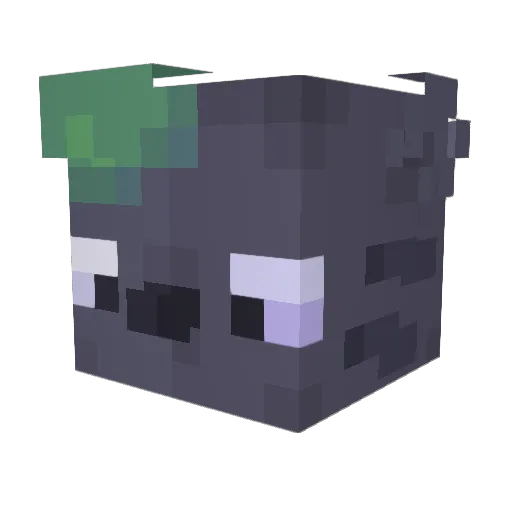 MrMolim Minecraft avatar head, 3D render
