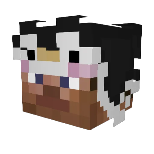 MrMoneyy Minecraft avatar head, 3D render