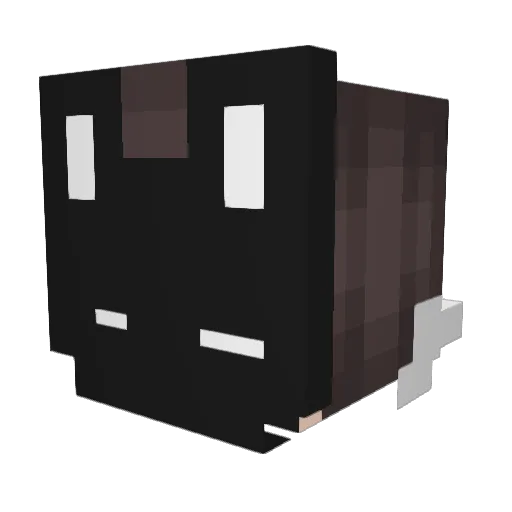 MrMorkov1 Minecraft avatar head, 3D render