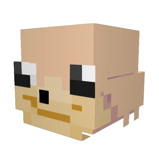 MrMoweechicken Minecraft avatar head, 3D render