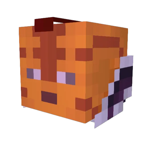 MrNacho05 Minecraft avatar head, 3D render