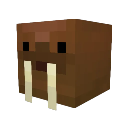 MrNellemann Minecraft avatar head, 3D render