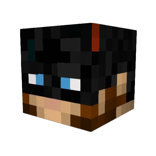 MrNicNac2004 Minecraft avatar head, 3D render