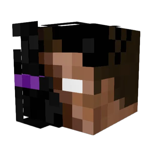 MrNiceguy123 Minecraft avatar head, 3D render