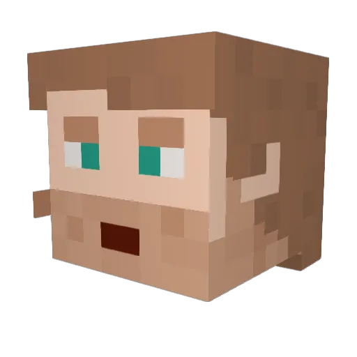 MrNobody2025 Minecraft avatar head, 3D render