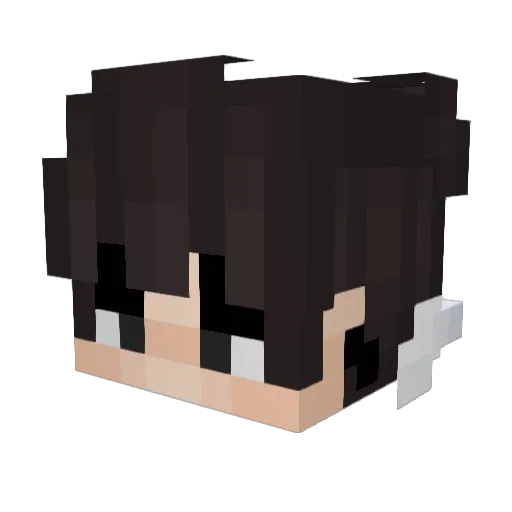 MrNoodleToes Minecraft avatar head, 3D render