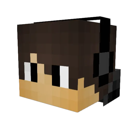 MrNoppa Minecraft avatar head, 3D render