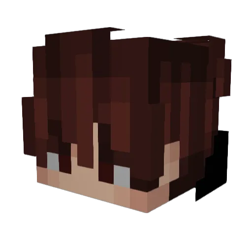 MrOlli15 Minecraft avatar head, 3D render