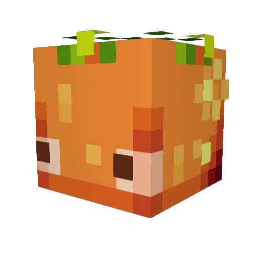 MrOrange984 Minecraft avatar head, 3D render