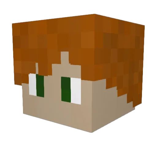 MrOverfloater Minecraft avatar head, 3D render