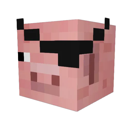 MrPaprot_1 Minecraft avatar head, 3D render
