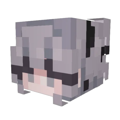 MrPaquette Minecraft avatar head, 3D render