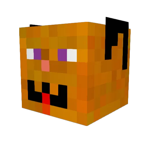 MrPaws Minecraft avatar head, 3D render
