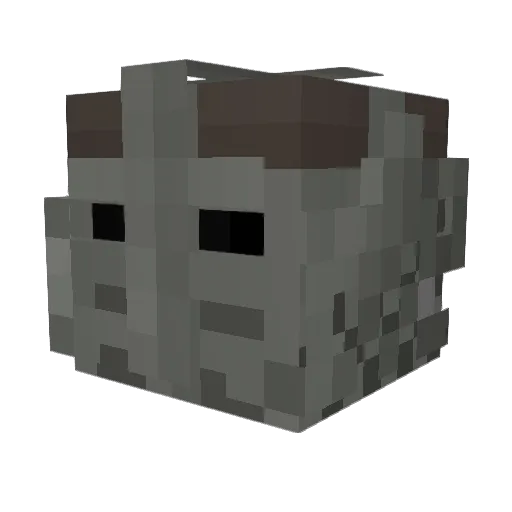 MrPenelope Minecraft avatar head, 3D render