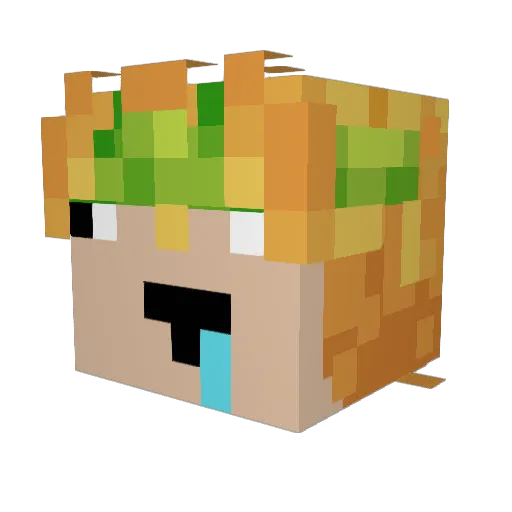 MrPepper565 Minecraft avatar head, 3D render