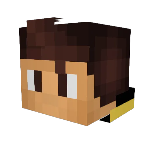 MrPicklePants05 Minecraft avatar head, 3D render