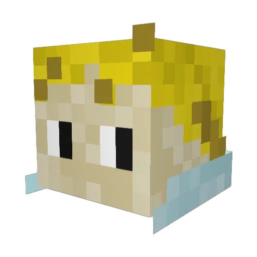 MrPirned Minecraft avatar head, 3D render