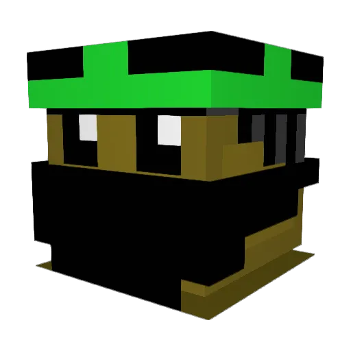 MrPlayable1264 Minecraft avatar head, 3D render