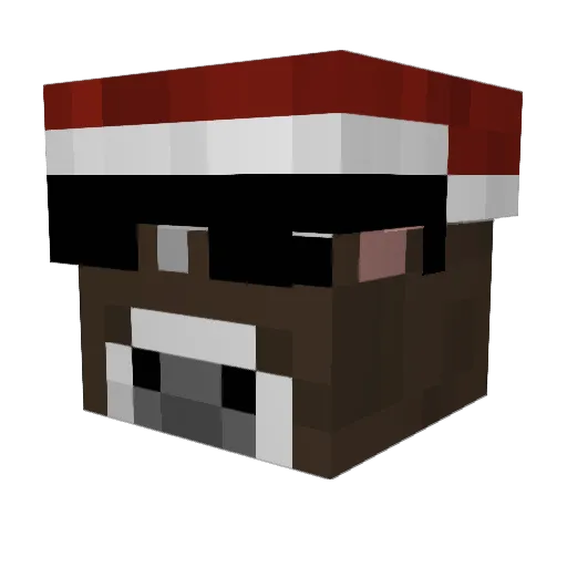 MrPollishSanta Minecraft avatar head, 3D render