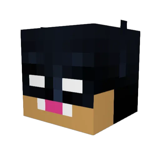 MrProxgame Minecraft avatar head, 3D render